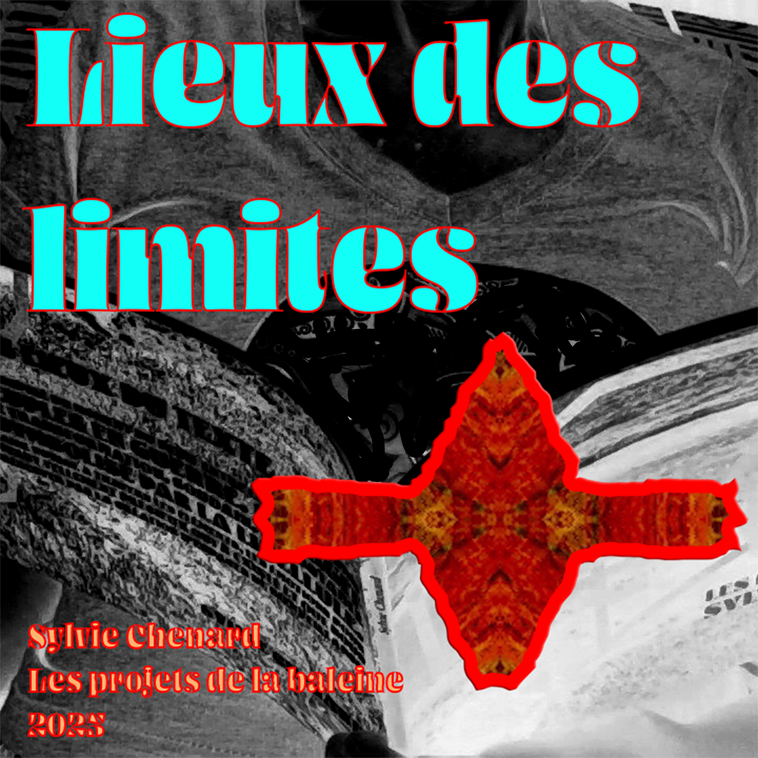 Album Lieux des limites