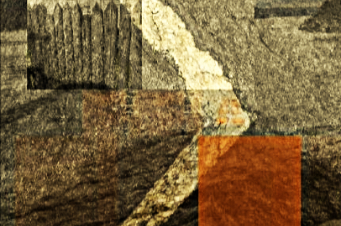 Image art de Sylvie Chenard