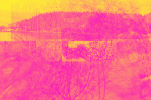 Image art de Sylvie Chenard
