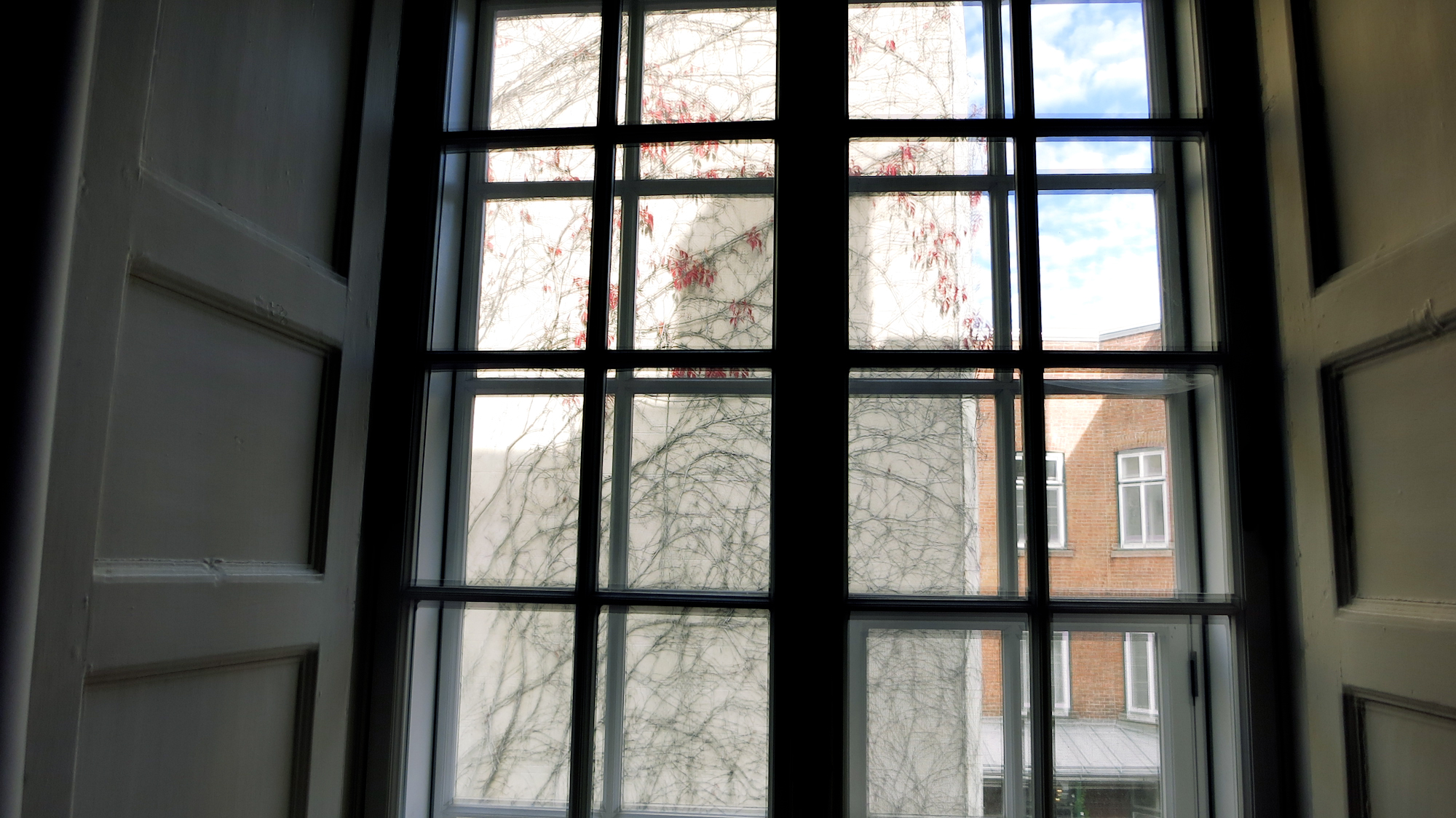 Image art de Sylvie Chenard