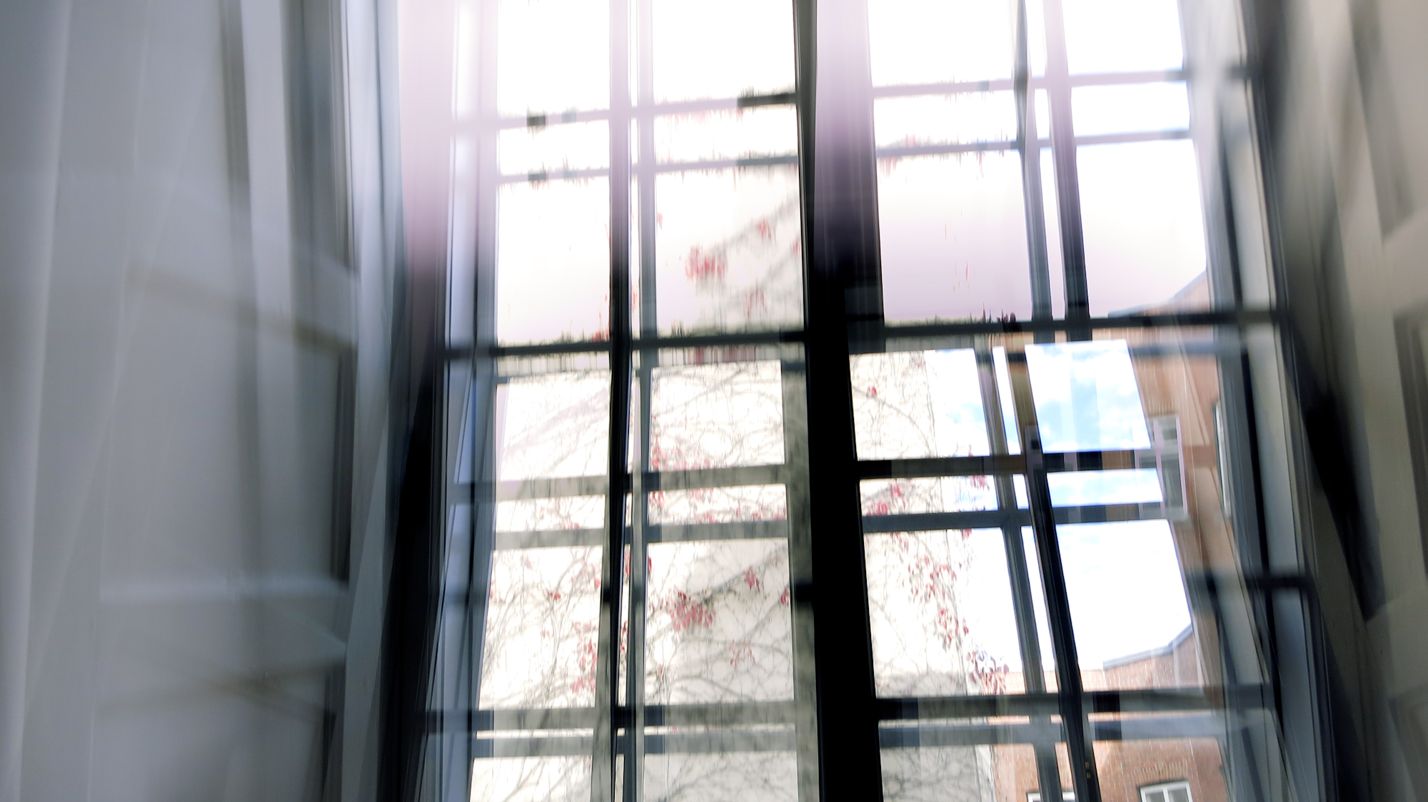 Image art de Sylvie Chenard