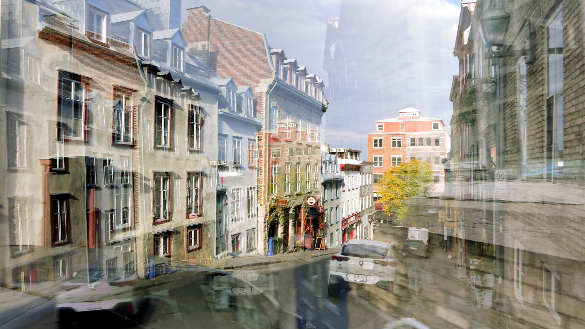 Image art de Sylvie Chenard