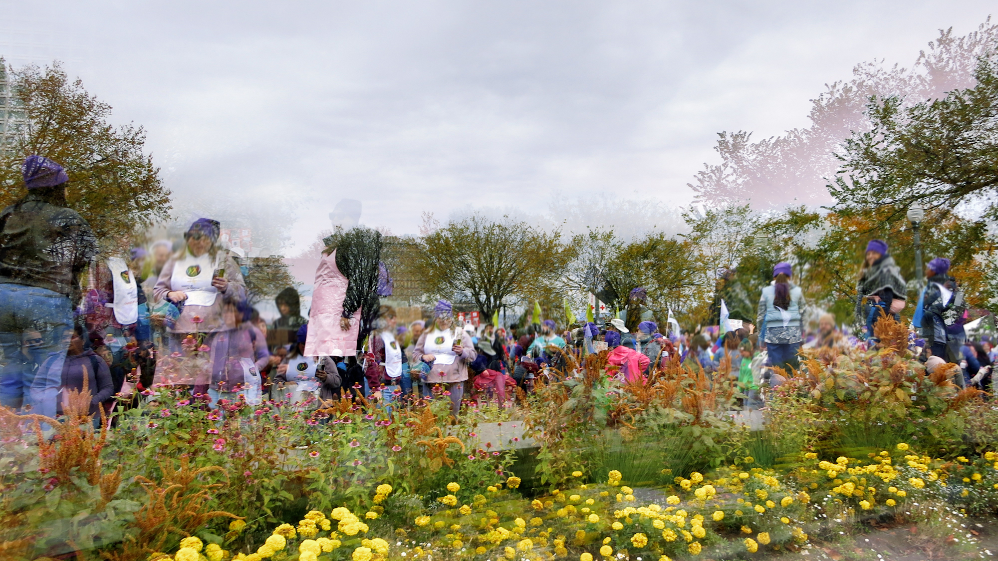 Image art de Sylvie Chenard