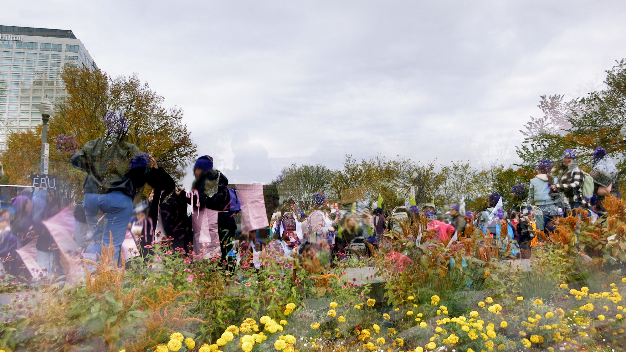 Image art de Sylvie Chenard