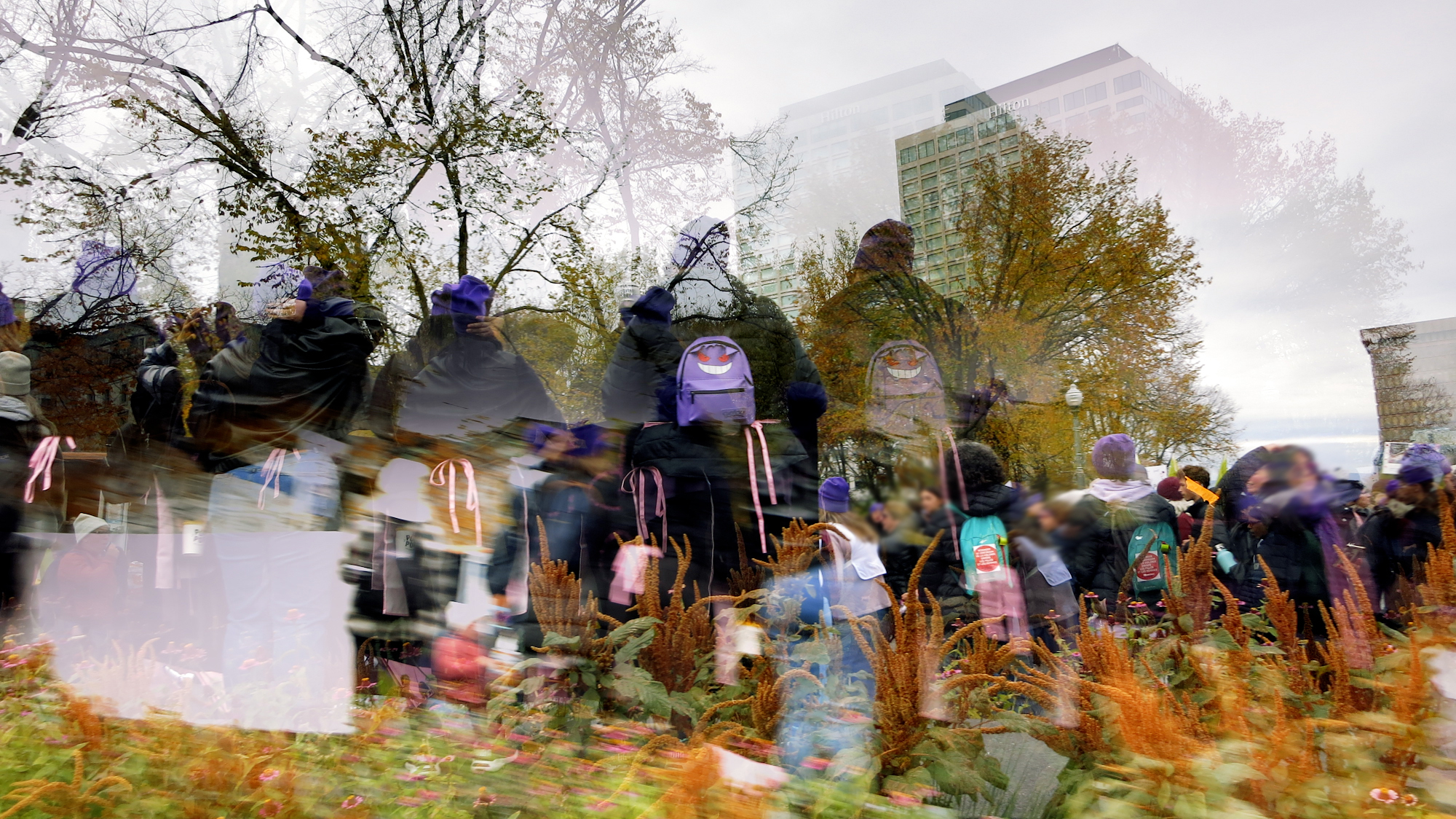 Image art de Sylvie Chenard