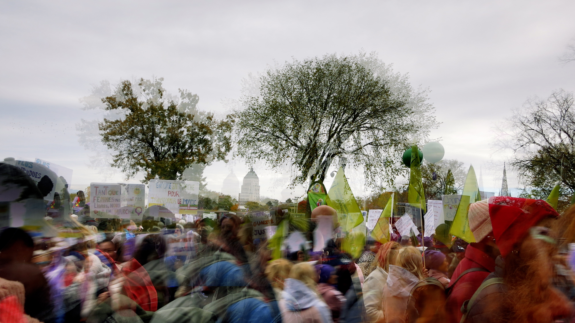 Image art de Sylvie Chenard