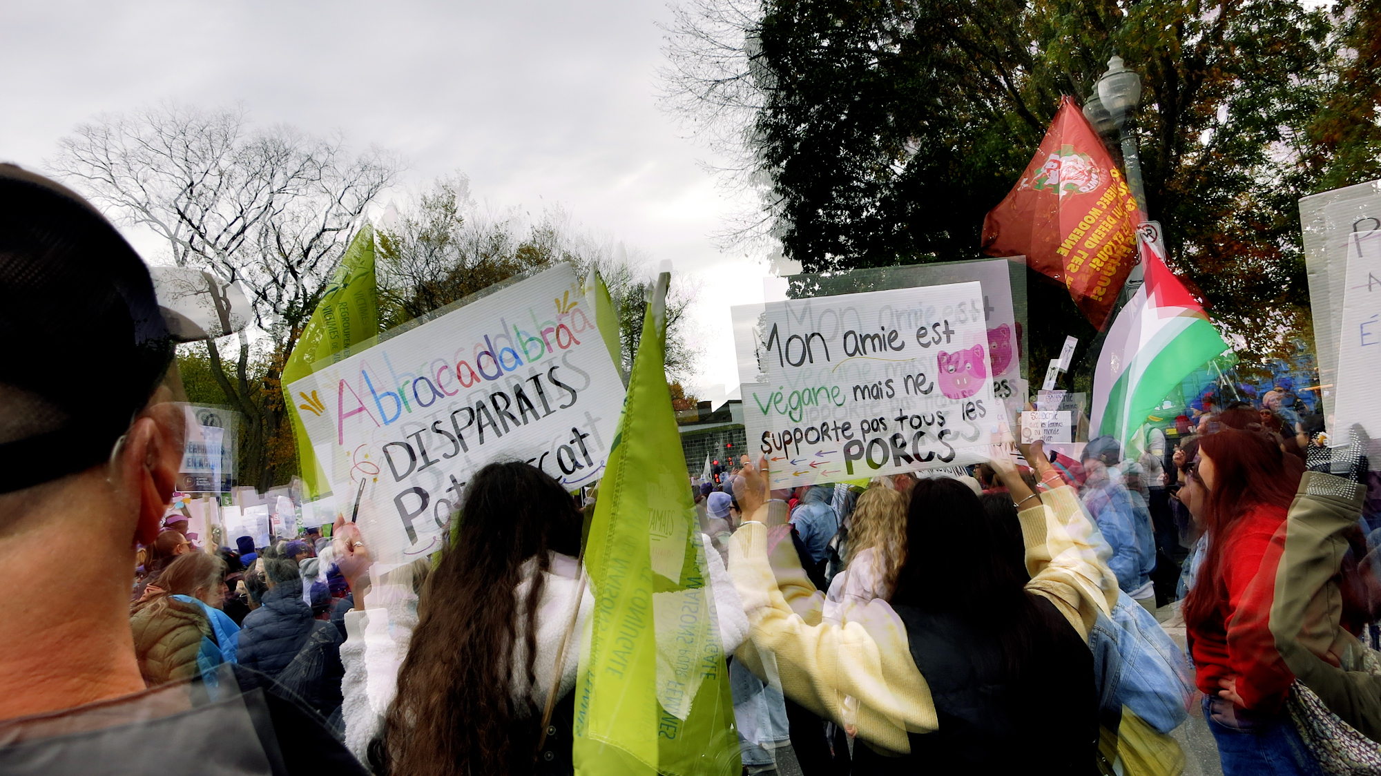 Image art de Sylvie Chenard