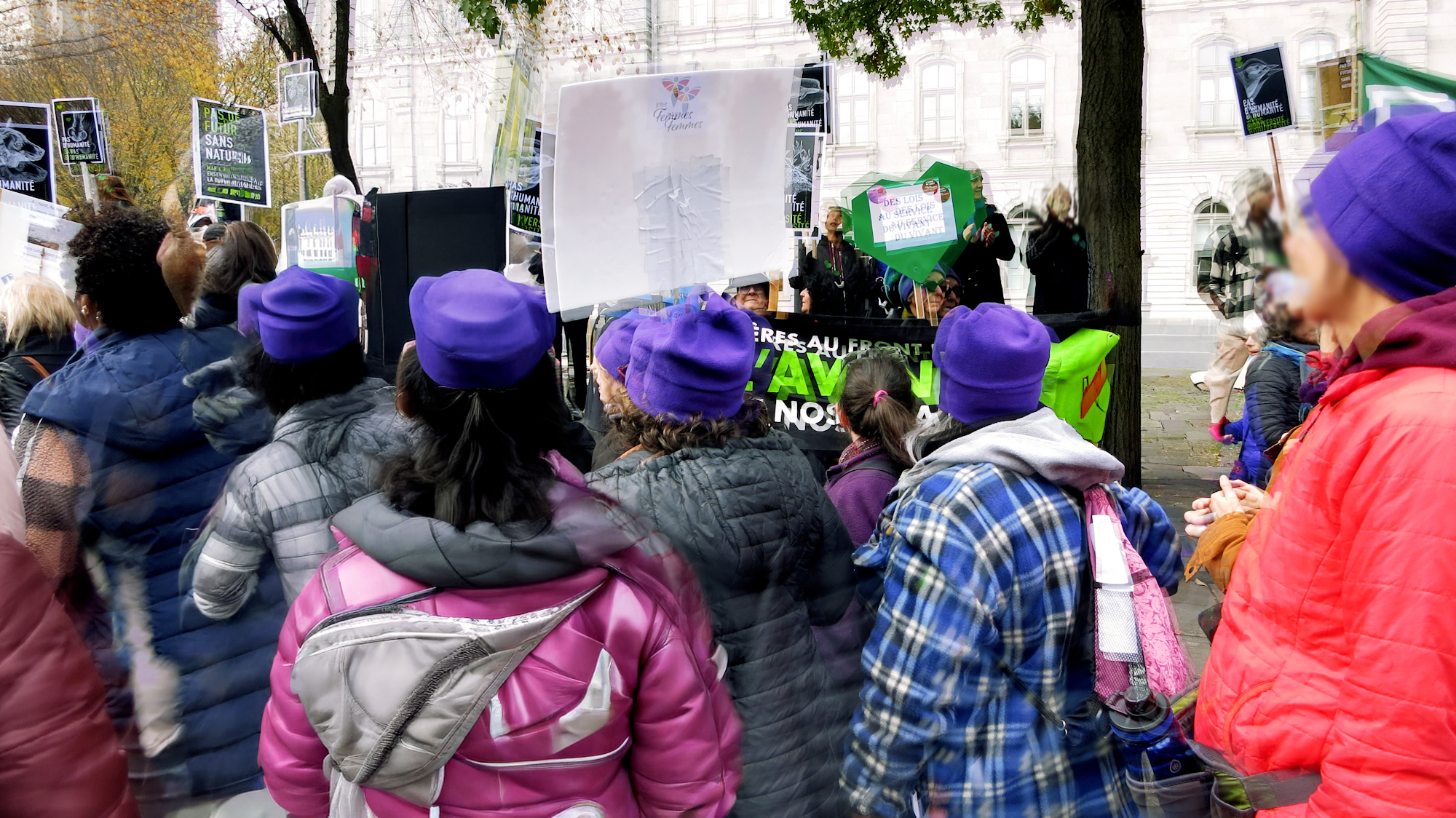 Image art de Sylvie Chenard