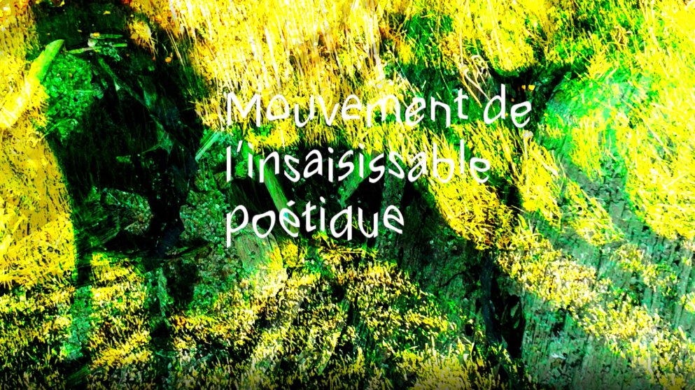 Insaisissable